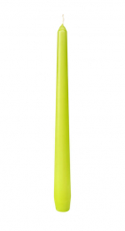 Leuchterkerzen 25cm Kiwi in der Gruppe Nach Produkt einkaufen / Kerzen & LED / Kronenkerzen & Leuchterkerzen bei Duni GmbH (153857)