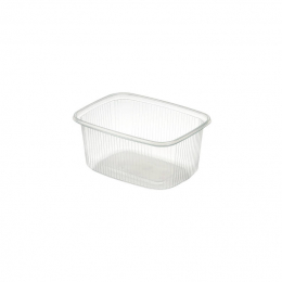 Kunststoffbox 250ml Rechteckig Delipack in der Gruppe Nach Produkt einkaufen / Sonstiges / Boxen & Lunchboxen bei Duni GmbH (156428r)