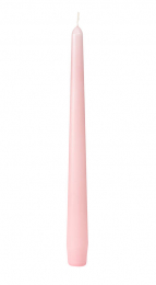 Leuchterkerzen 25cm Mellow Rose in der Gruppe Nach Produkt einkaufen / Kerzen & LED / Kronenkerzen & Leuchterkerzen bei Duni GmbH (174561)