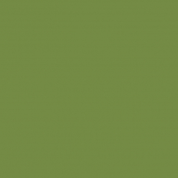 Cocktail-Servietten Leaf Green 24x24cm in der Gruppe Nach Produkt einkaufen / Servietten / Cocktail-Servietten bei Duni GmbH (185875)
