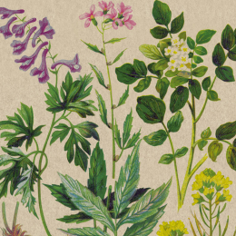 Lunch-Serviette 2-lagig 33x33cm Botanisches Muster - Paper + Design in der Gruppe Nach Produkt einkaufen / Servietten / Paper + Design bei Duni GmbH (192789)
