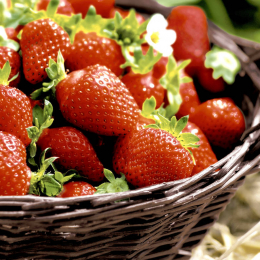 Lunch-Servietten 3-lagig 33x33cm Strawberries - Paper + Design in der Gruppe Nach Produkt einkaufen / Servietten / Paper + Design bei Duni GmbH (195237)