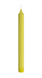 Kronenkerzen 25cm Kiwi in der Gruppe Nach Produkt einkaufen / Kerzen & LED / Kronenkerzen & Leuchterkerzen bei Duni GmbH (195783)