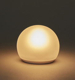 LED-Kerzenhalter Globe Frosted in der Gruppe Nach Produkt einkaufen / Kerzen & LED / LED-Kerzen bei Duni GmbH (198864)