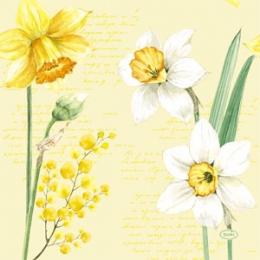 Lunch-Servietten 3-lagig 33x33cm Spring Daffodil in der Gruppe Nach Produkt einkaufen / Servietten / Lunch-Servietten bei Duni GmbH (200758)