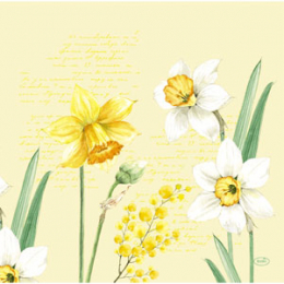 Dinner-Servietten Dunisoft 40x40cm Spring Daffodil in der Gruppe Nach Produkt einkaufen / Servietten / Dinner-Servietten bei Duni GmbH (200759)