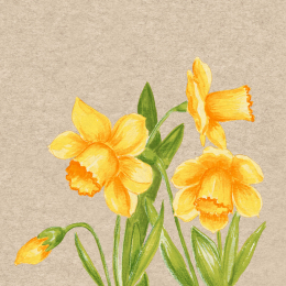 Lunch-Servietten 2-lagig 33x33cm Daffodil - Paper + Design in der Gruppe Nach Produkt einkaufen / Servietten / Paper + Design bei Duni GmbH (205039)