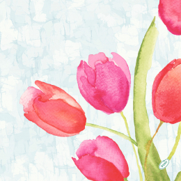 Dinner-Servietten Bio Dunisoft 40x40cm Painted Tulips in der Gruppe Nach Produkt einkaufen / Servietten / Bio Dunisoft bei Duni GmbH (206408)