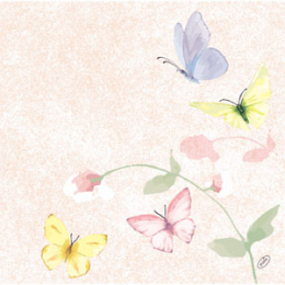 Dinner-Servietten Bio Dunisoft 40x40cm Sweet Peach in der Gruppe Nach Produkt einkaufen / Servietten / Bio Dunisoft bei Duni GmbH (208804)