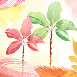 Lunch-Servietten 3-lagig 33x33cm Nomad Tropic - Paper + Design in der Gruppe Nach Produkt einkaufen / Servietten / Paper + Design bei Duni GmbH (209829)