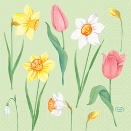 Lunch-Servietten 3-lagig 33x33cm Spring Melody in der Gruppe Nach Produkt einkaufen / Servietten / Lunch-Servietten bei Duni GmbH (210190)